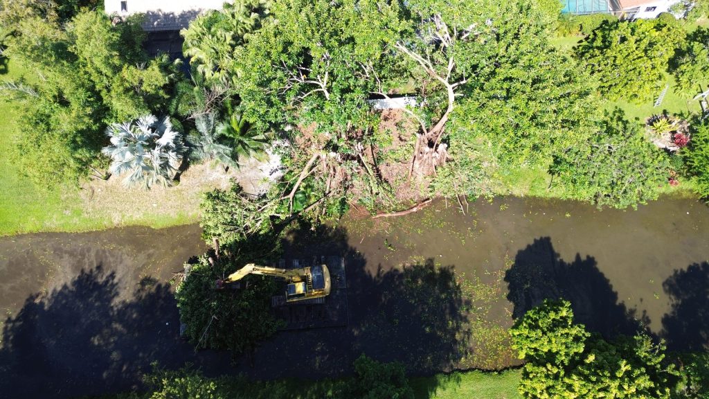 Photo of a Excavators in a canal removing trees